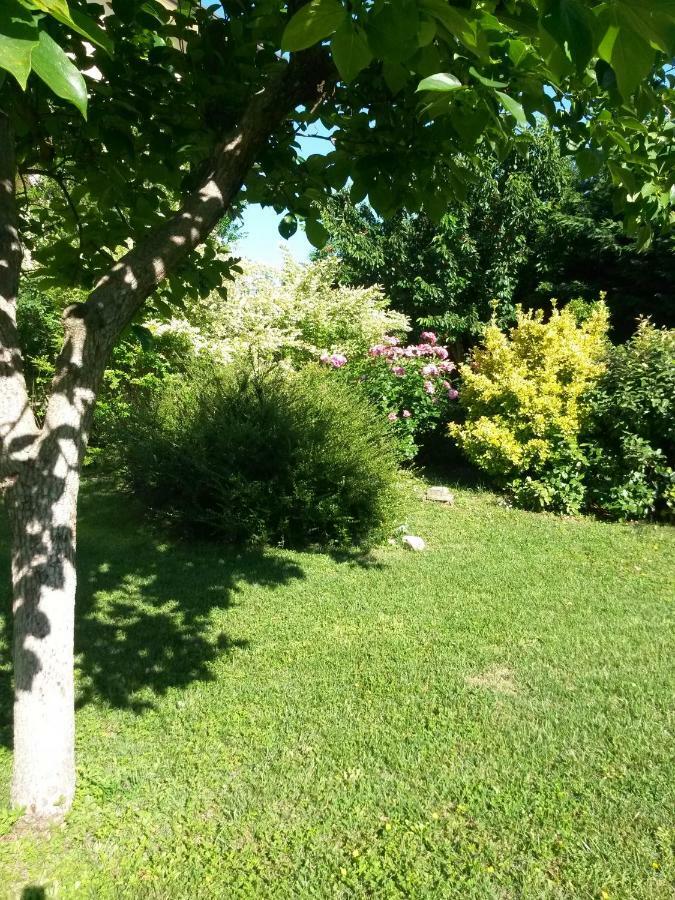 Casavittorio Bed & Breakfast San Giovanni In Marignano Exterior photo